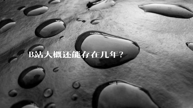 B站大概还能存在几年？